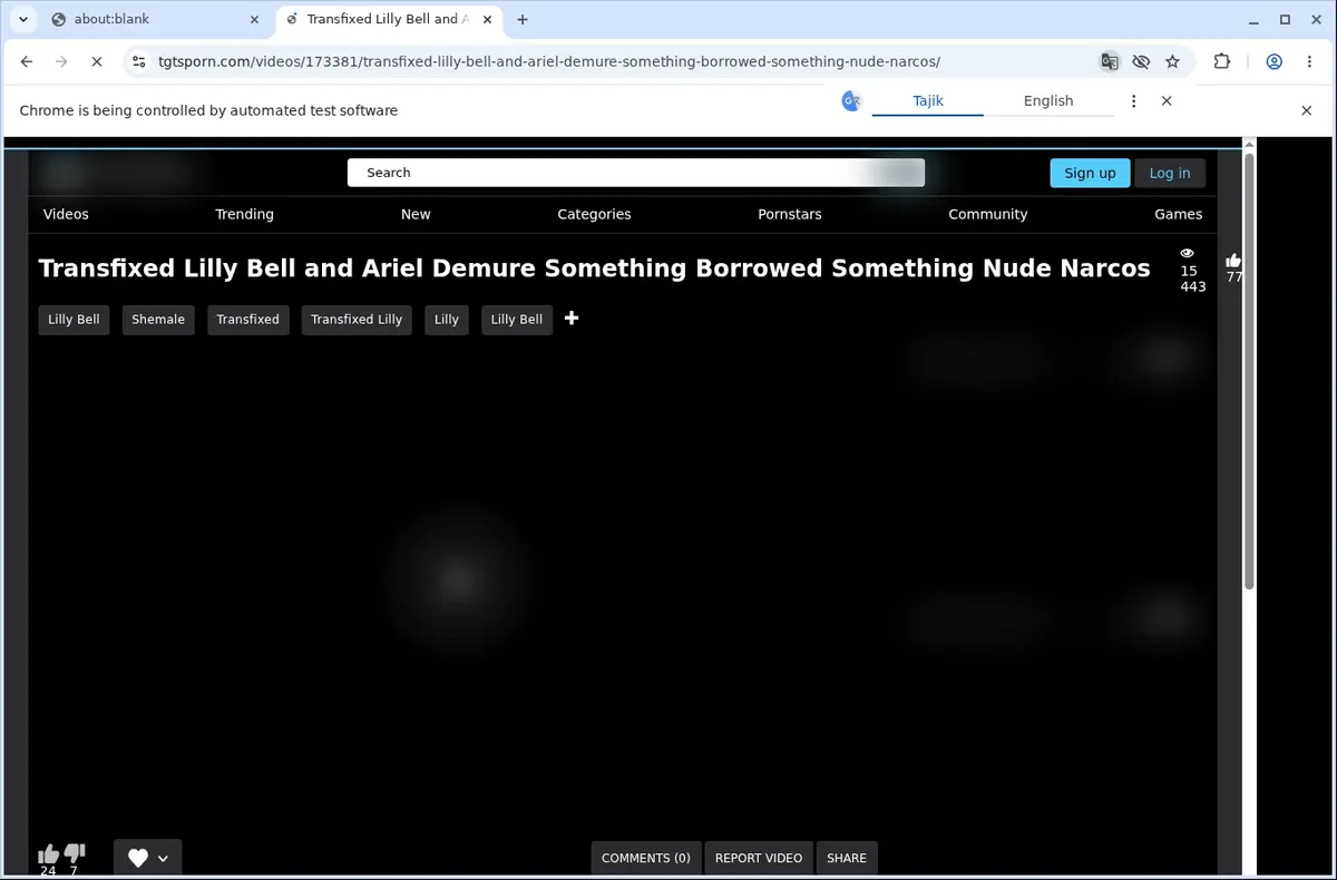 TGTSPorn Video Downloader page open in the browser
