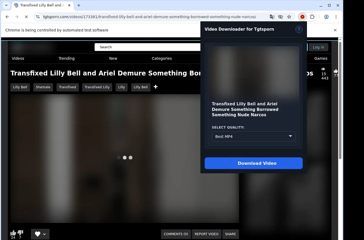 TGTSPorn Video Downloader showing detected media ready to download