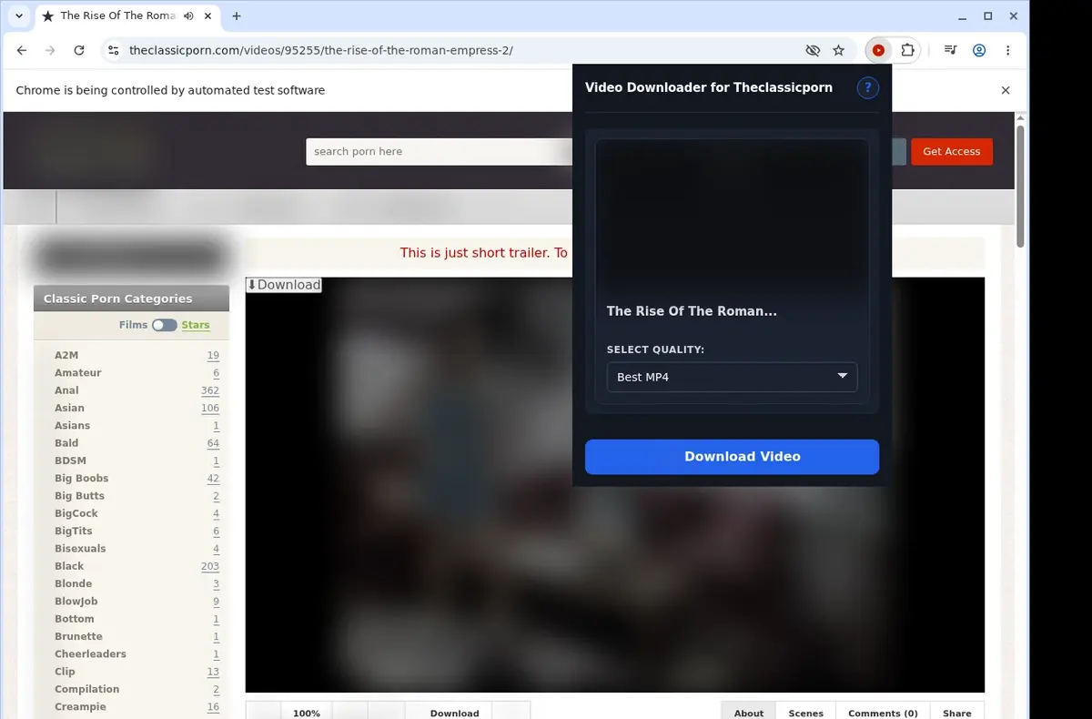 TheClassicPorn Video Downloader showing detected media ready to download