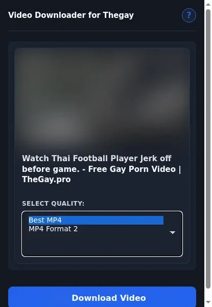 TheGay Downloader format dropdown options