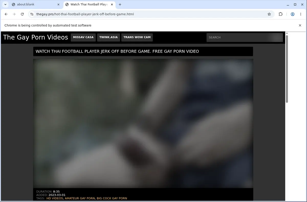 TheGay Downloader page open in the browser