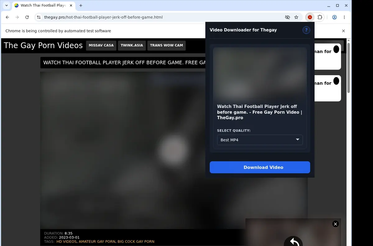 TheGay Downloader showing detected media ready to download