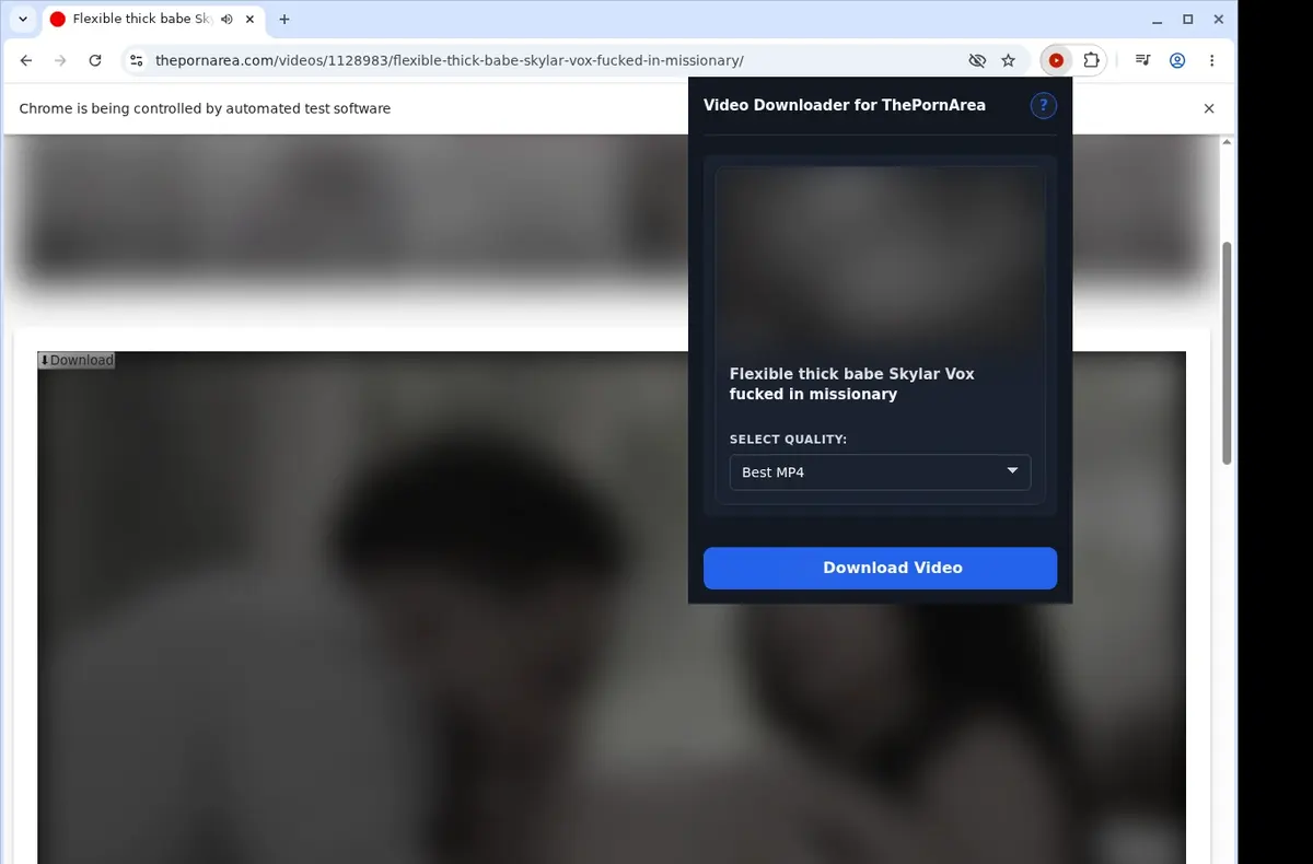 ThePornArea Downloader showing detected media ready to download