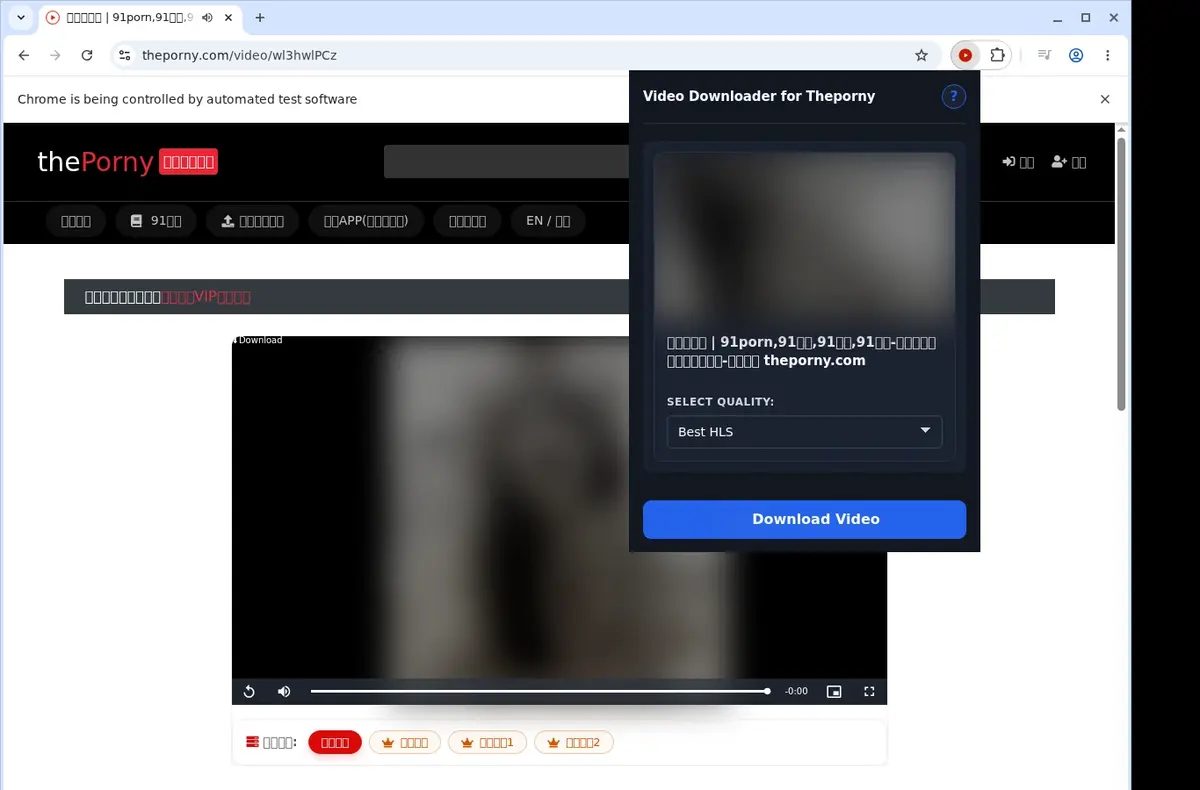 ThePorny Video Downloader showing detected media ready to download