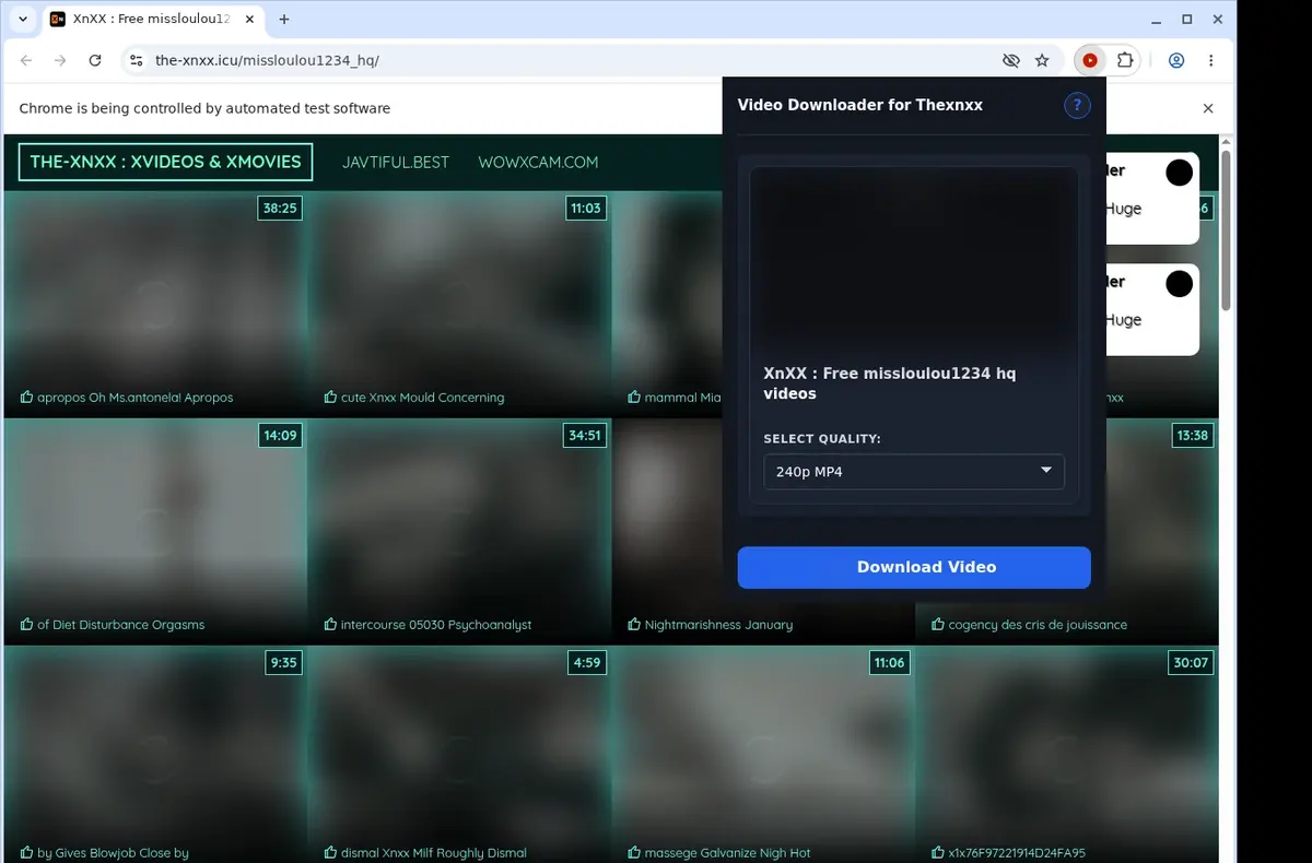 Thexnxx Downloader showing detected media ready to download