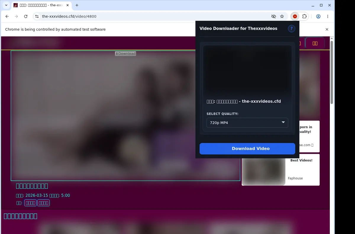Thexxxvideos Video Downloader showing detected media ready to download