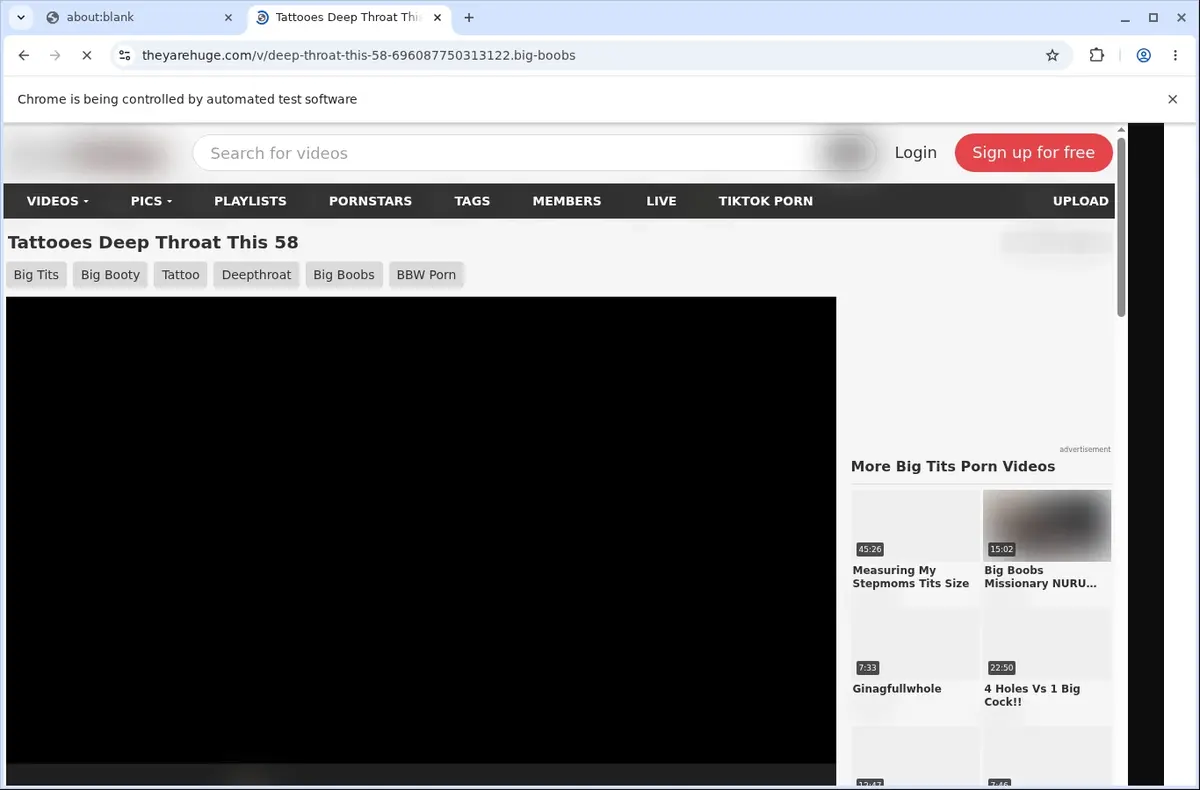 TheyAreHuge Video Downloader page open in the browser