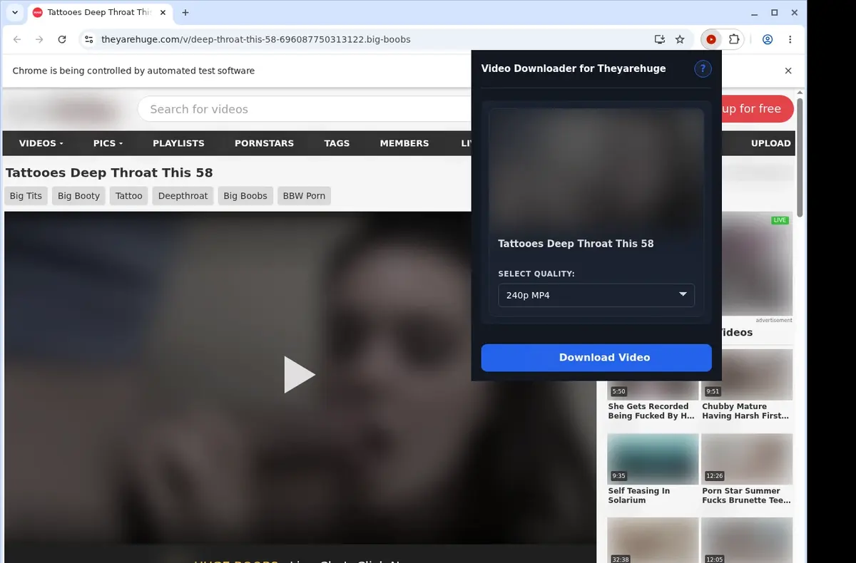 TheyAreHuge Video Downloader showing detected media ready to download