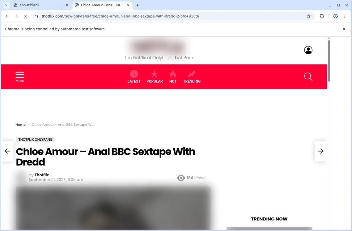 ThotFlix Video Downloader page open in the browser