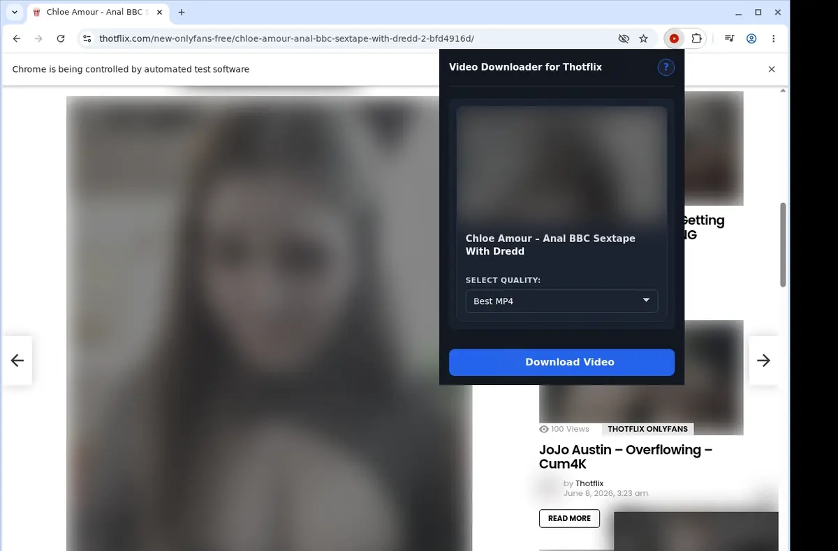 ThotFlix Video Downloader showing detected media ready to download