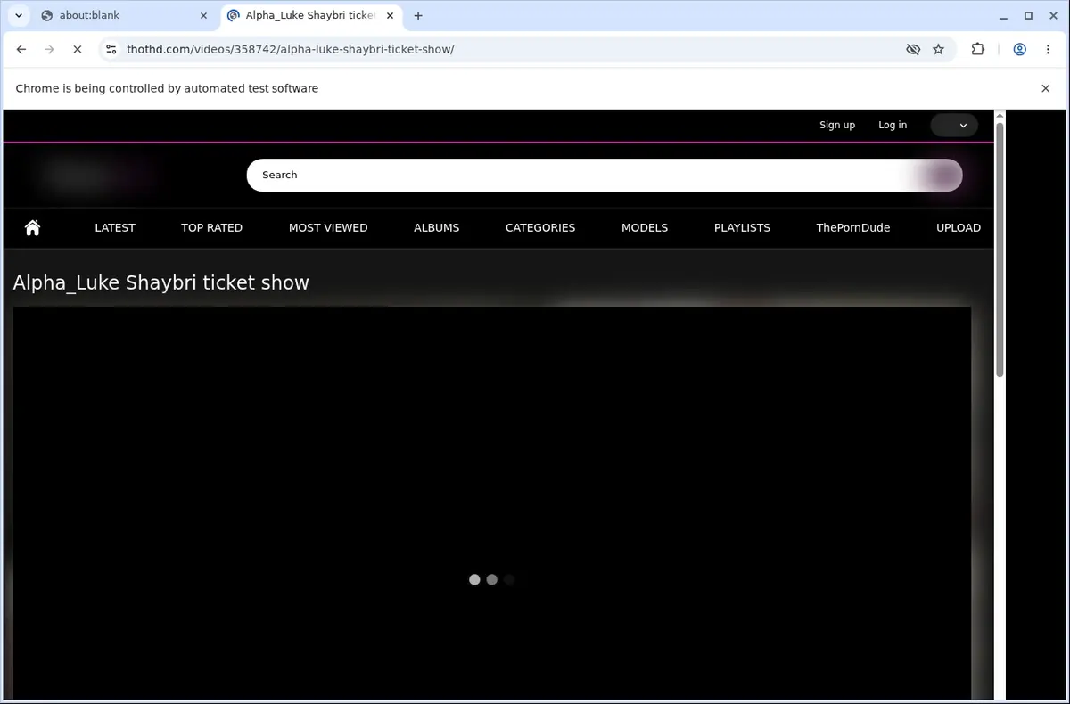 ThotHD Video Downloader page open in the browser