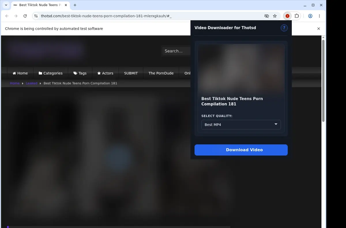 ThotSD Video Downloader showing detected media ready to download