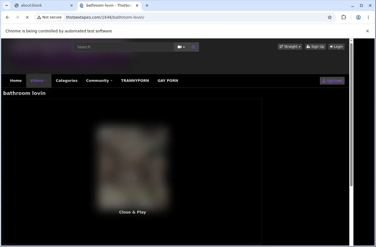 ThotSexTapes Video Downloader page open in the browser