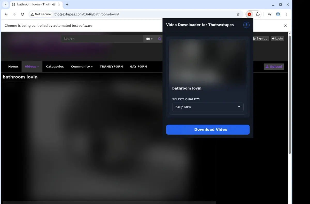 ThotSexTapes Video Downloader showing detected media ready to download
