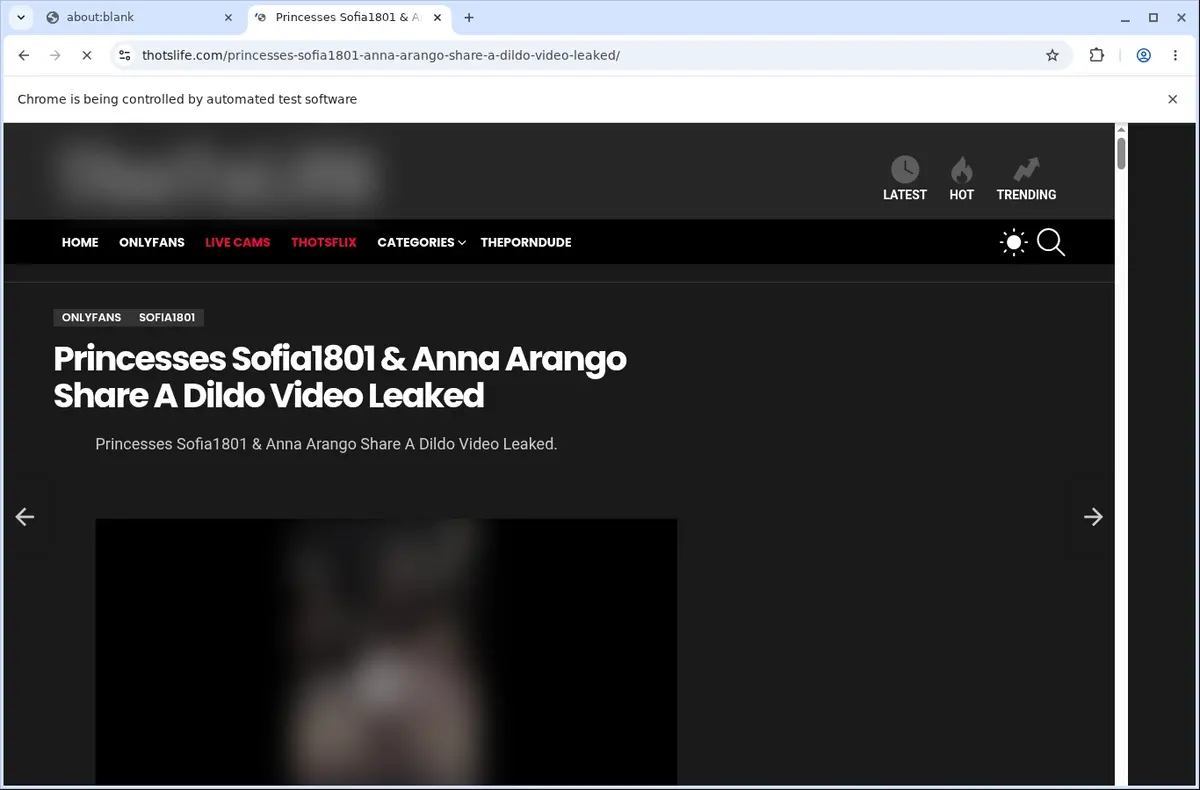 ThotsLife Video Downloader page open in the browser