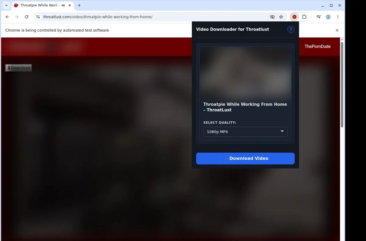 ThroatLust Video Downloader showing detected media ready to download