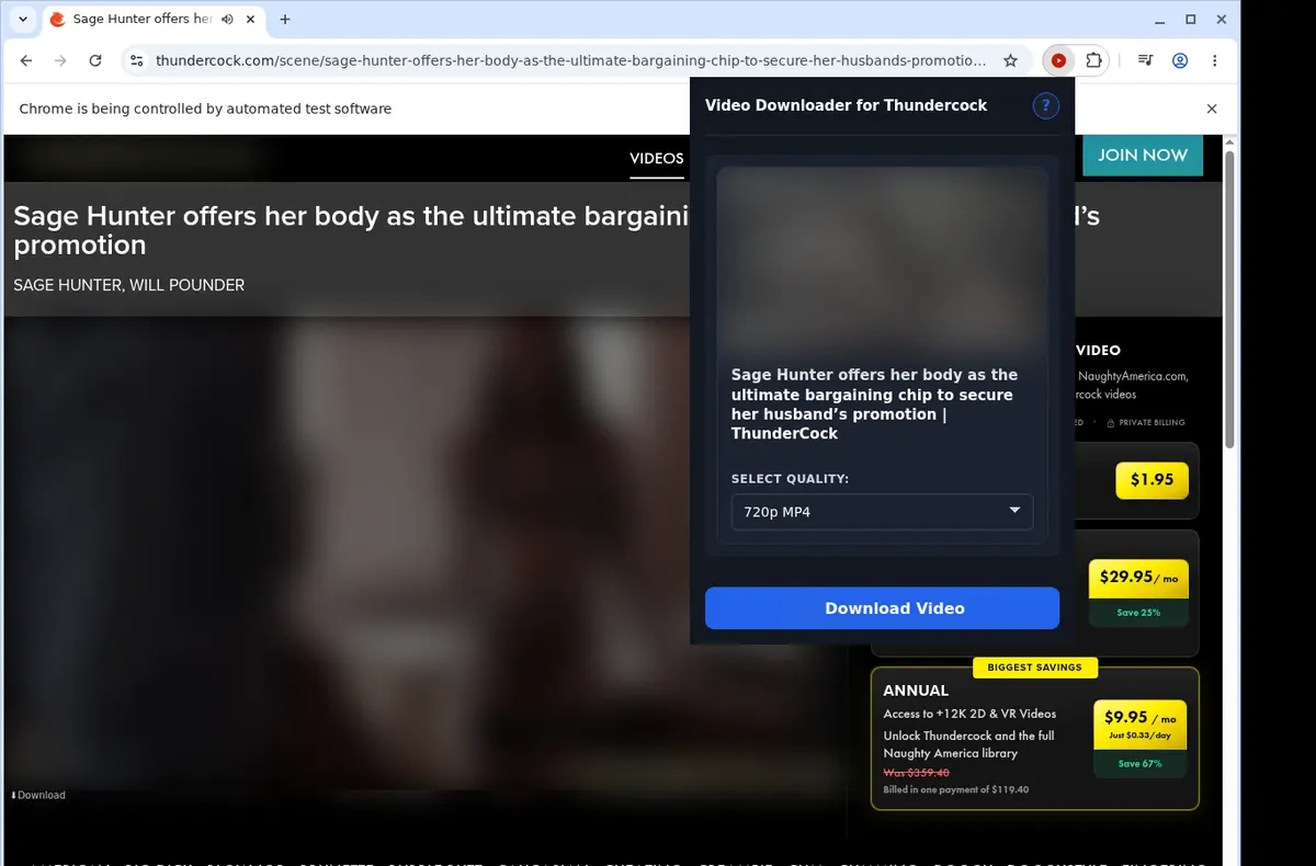 ThunderCock Video Downloader showing detected media ready to download