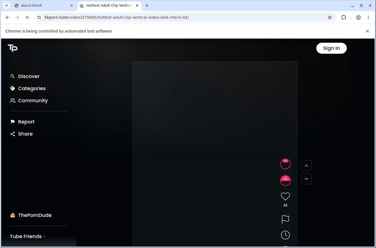 Tikporn Downloader page open in the browser