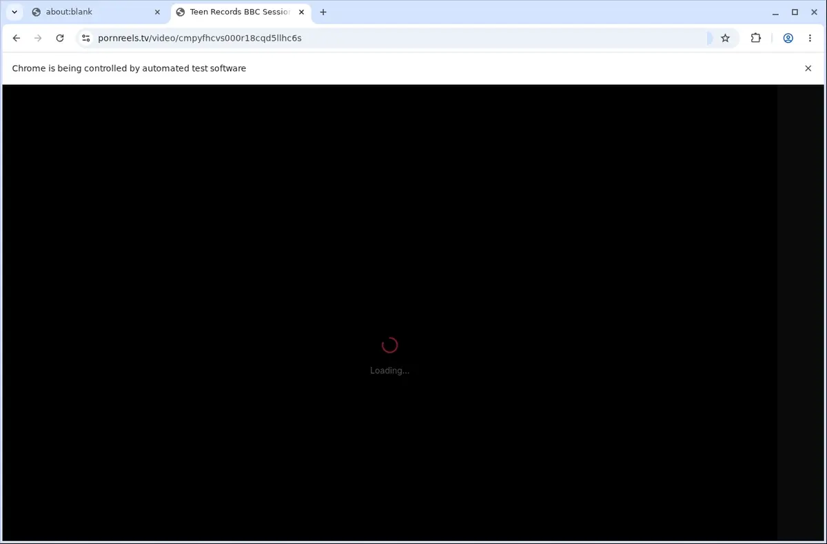 TikSwipe Video Downloader page open in the browser