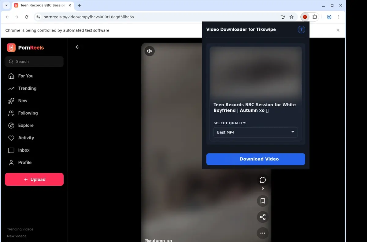TikSwipe Video Downloader showing detected media ready to download