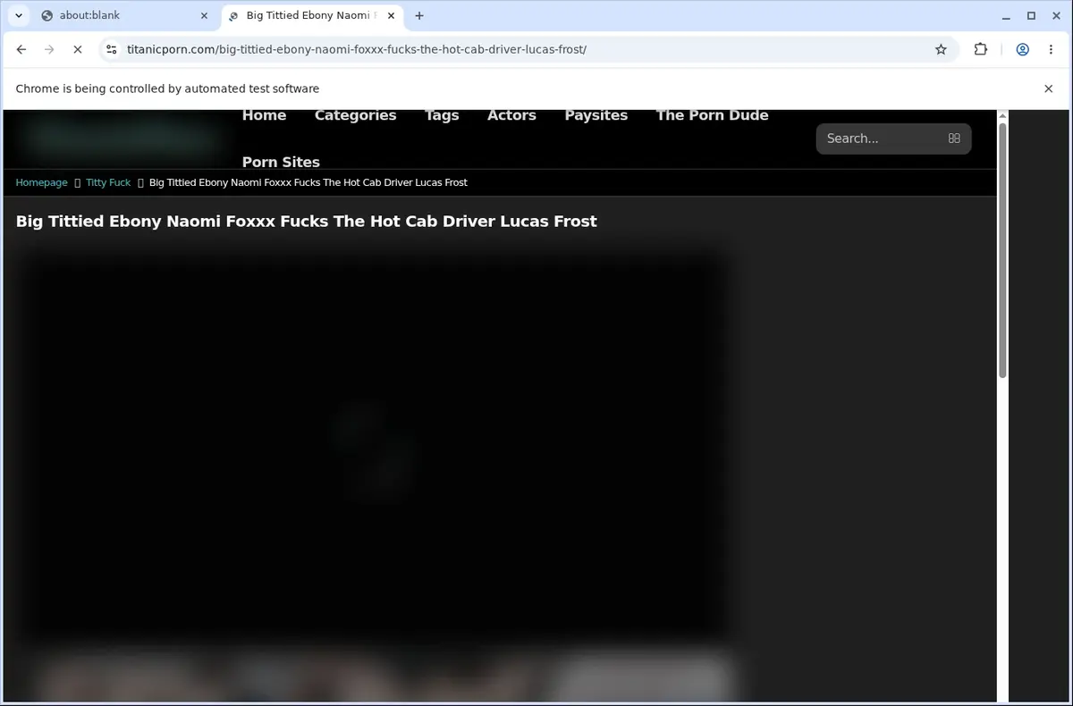 TitanicPorn Video Downloader page open in the browser
