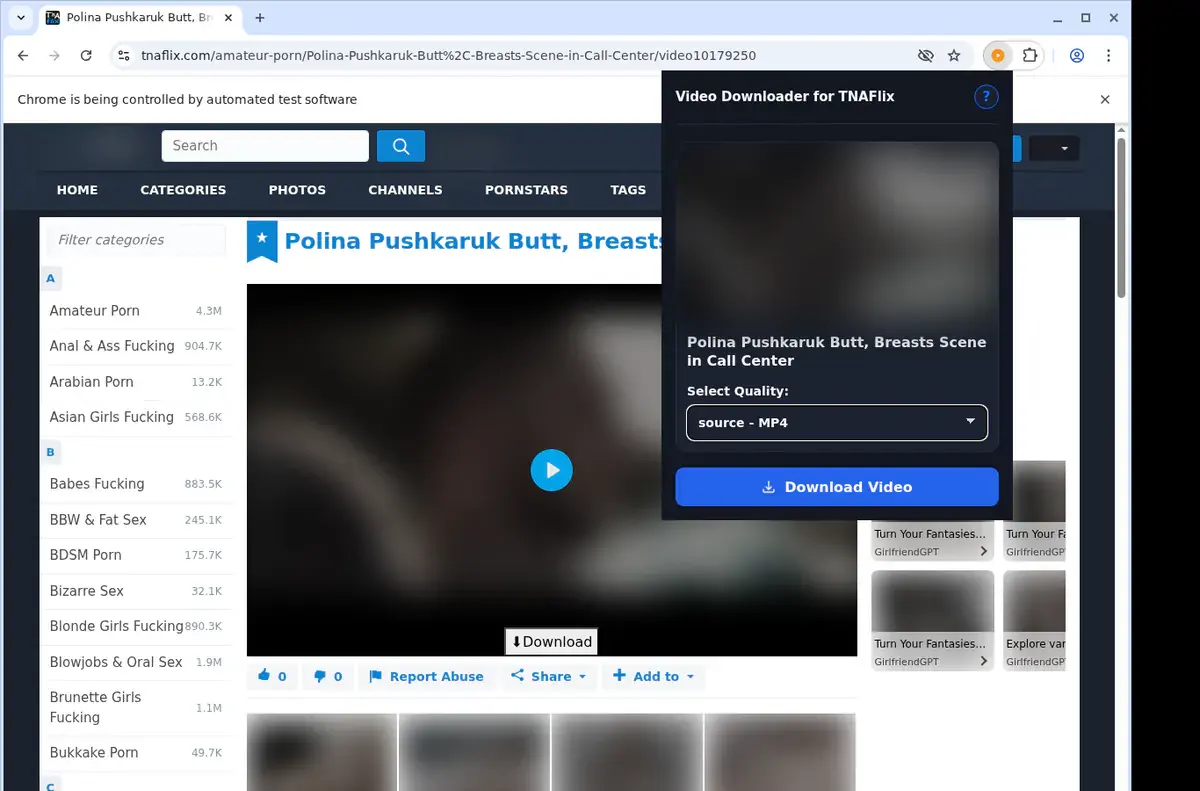 TNAFlix Video Downloader showing detected media ready to download