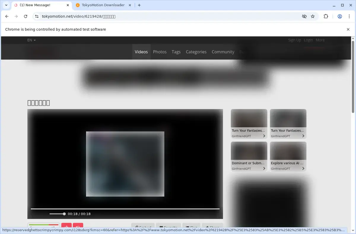 TokyoMotion Video Downloader download progress panel