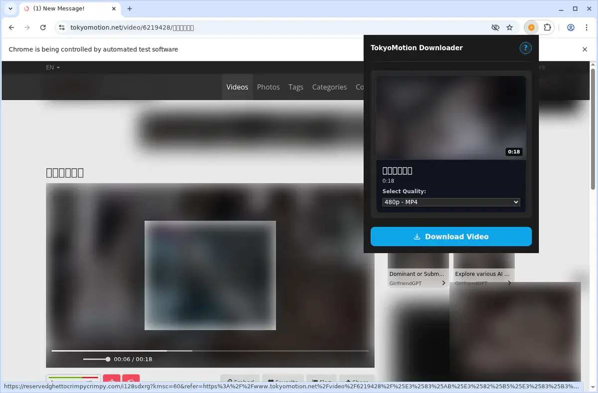TokyoMotion Video Downloader showing detected media ready to download