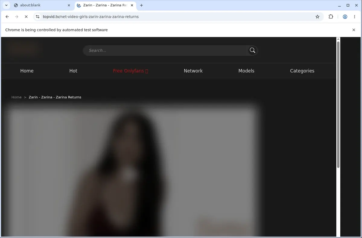 Topvid Downloader page open in the browser