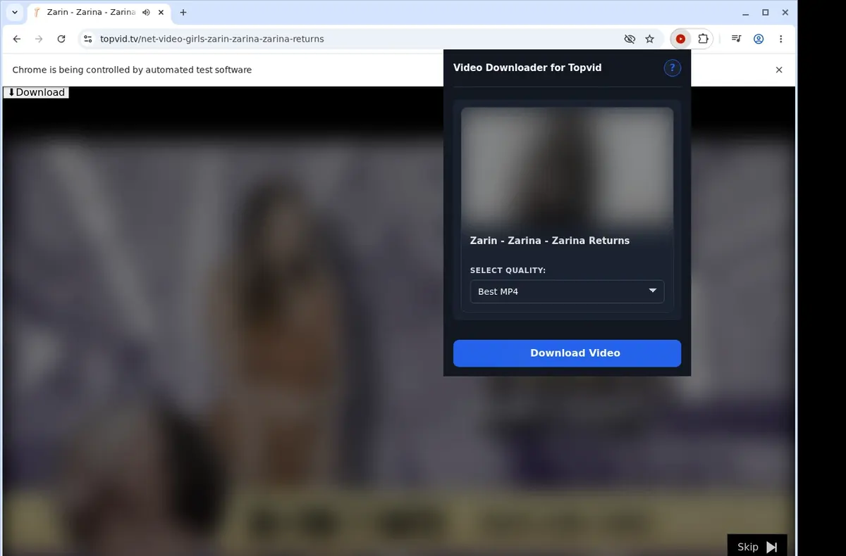 Topvid Downloader showing detected media ready to download