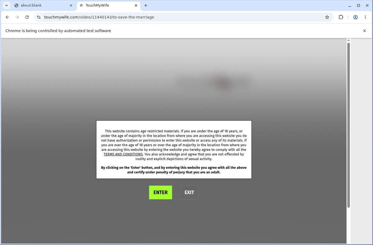 TouchMyWife Video Downloader page open in the browser