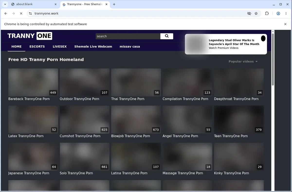 Trannyone Video Downloader page open in the browser
