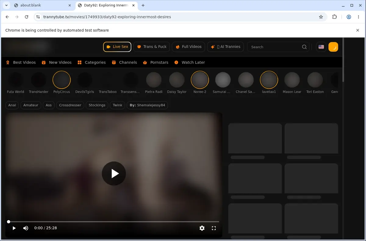 TrannyTube Video Downloader page open in the browser