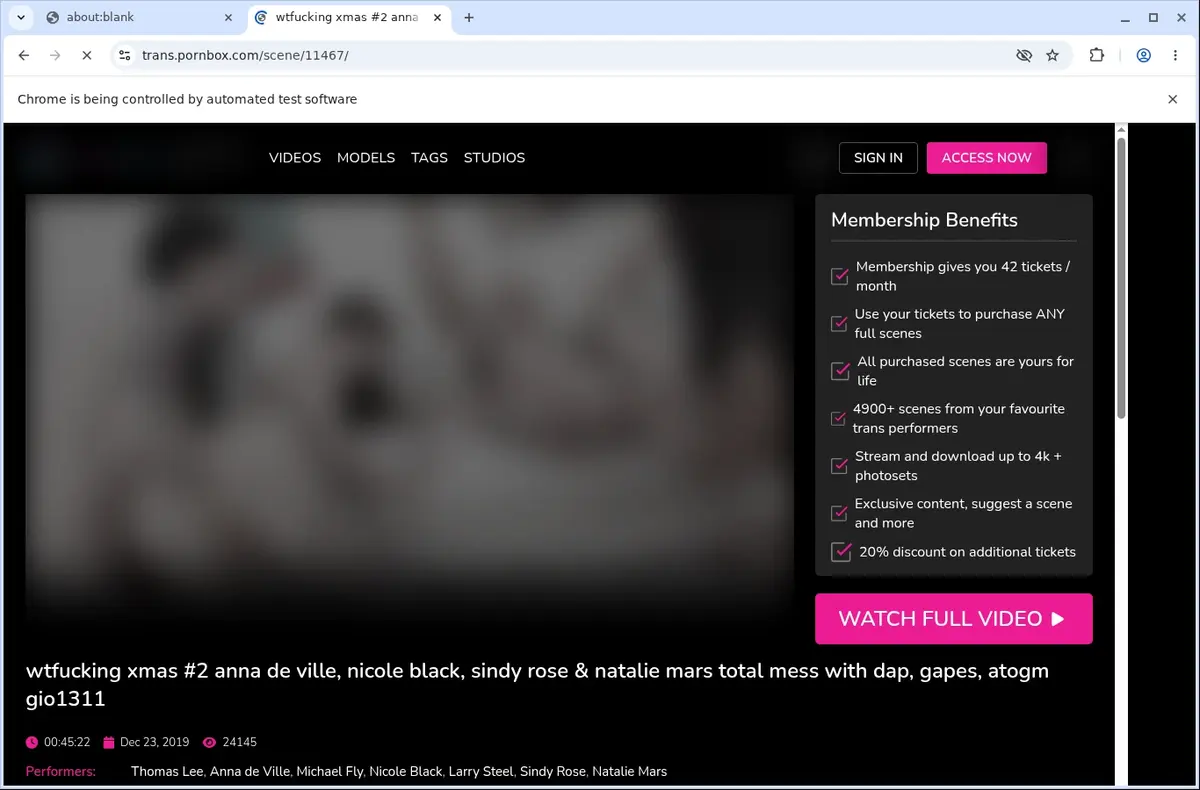 Pornbox Trans Video Downloader page open in the browser