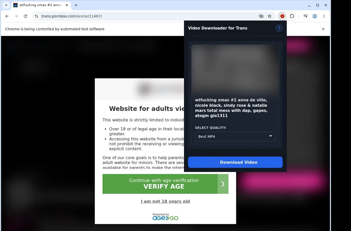 Pornbox Trans Video Downloader showing detected media ready to download