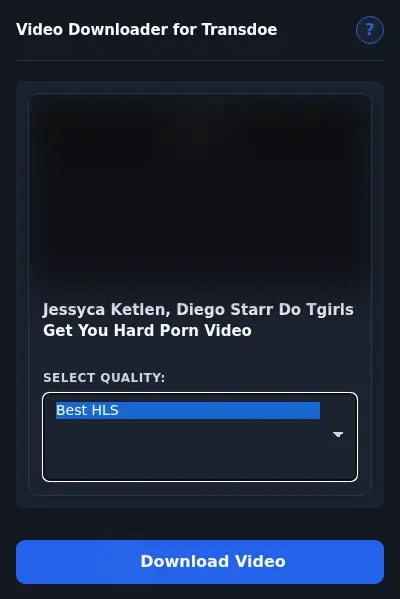 TransDoe Video Downloader format dropdown options