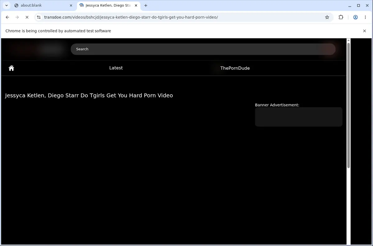 TransDoe Video Downloader page open in the browser