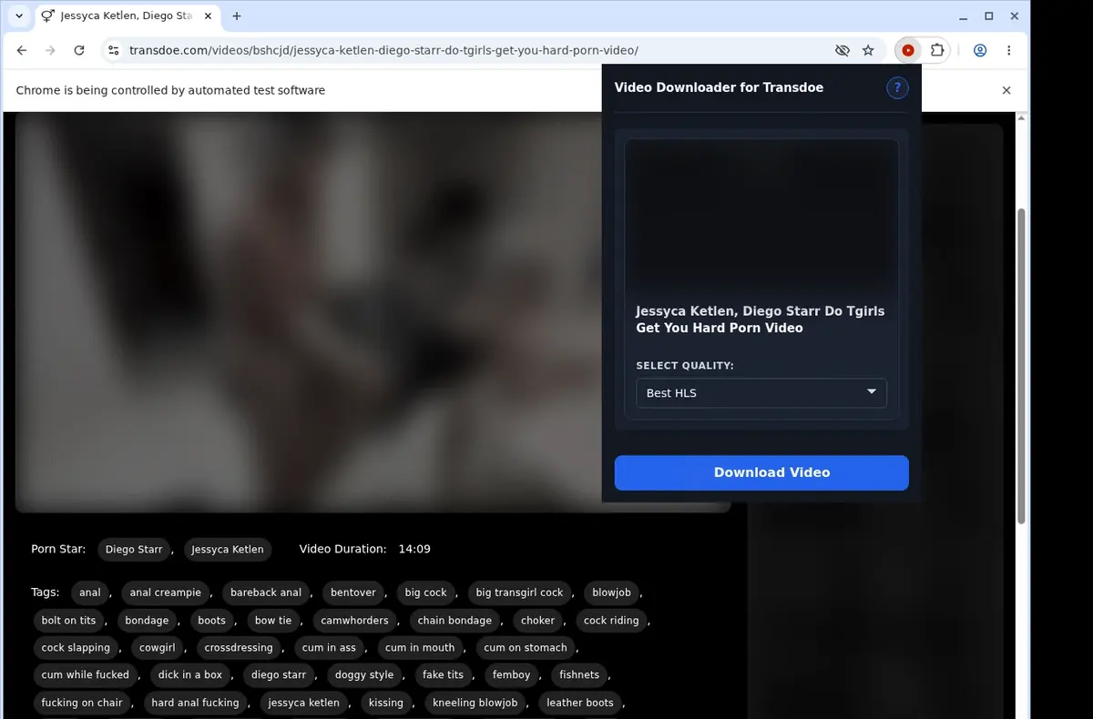 TransDoe Video Downloader showing detected media ready to download