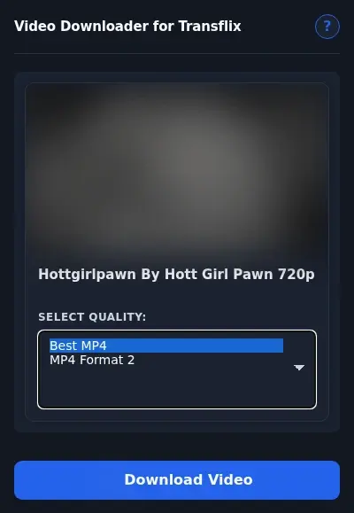 TransFlix Video Downloader format dropdown options