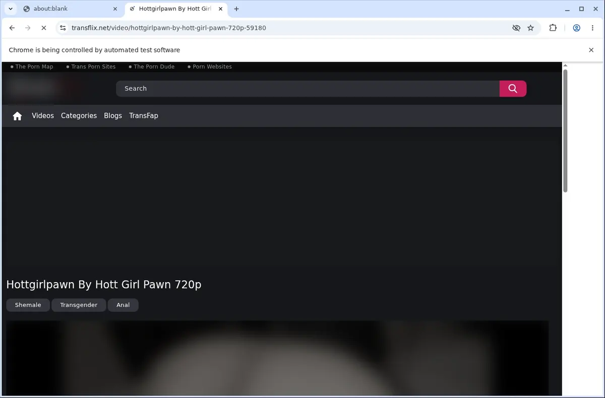 TransFlix Video Downloader page open in the browser