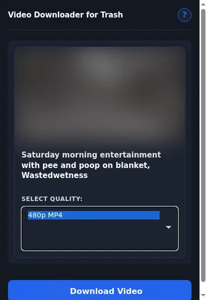 Trash.porn Video Downloader format dropdown options