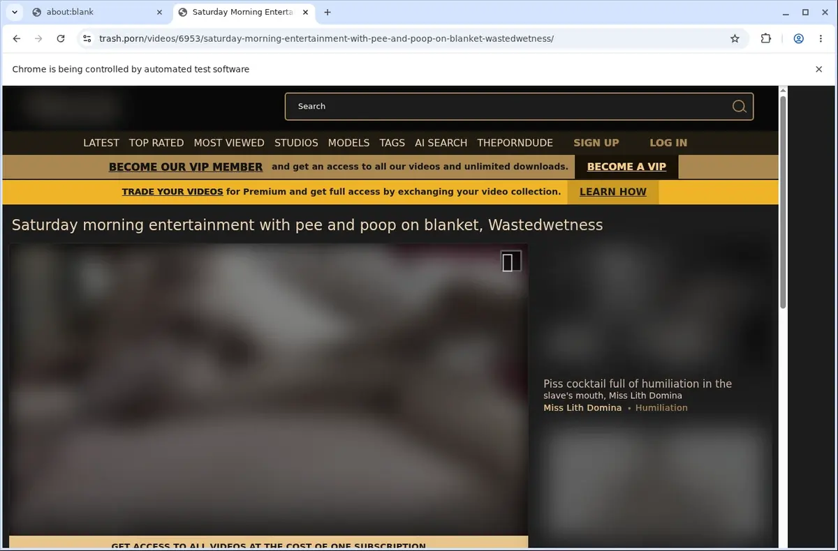 Trash.porn Video Downloader page open in the browser