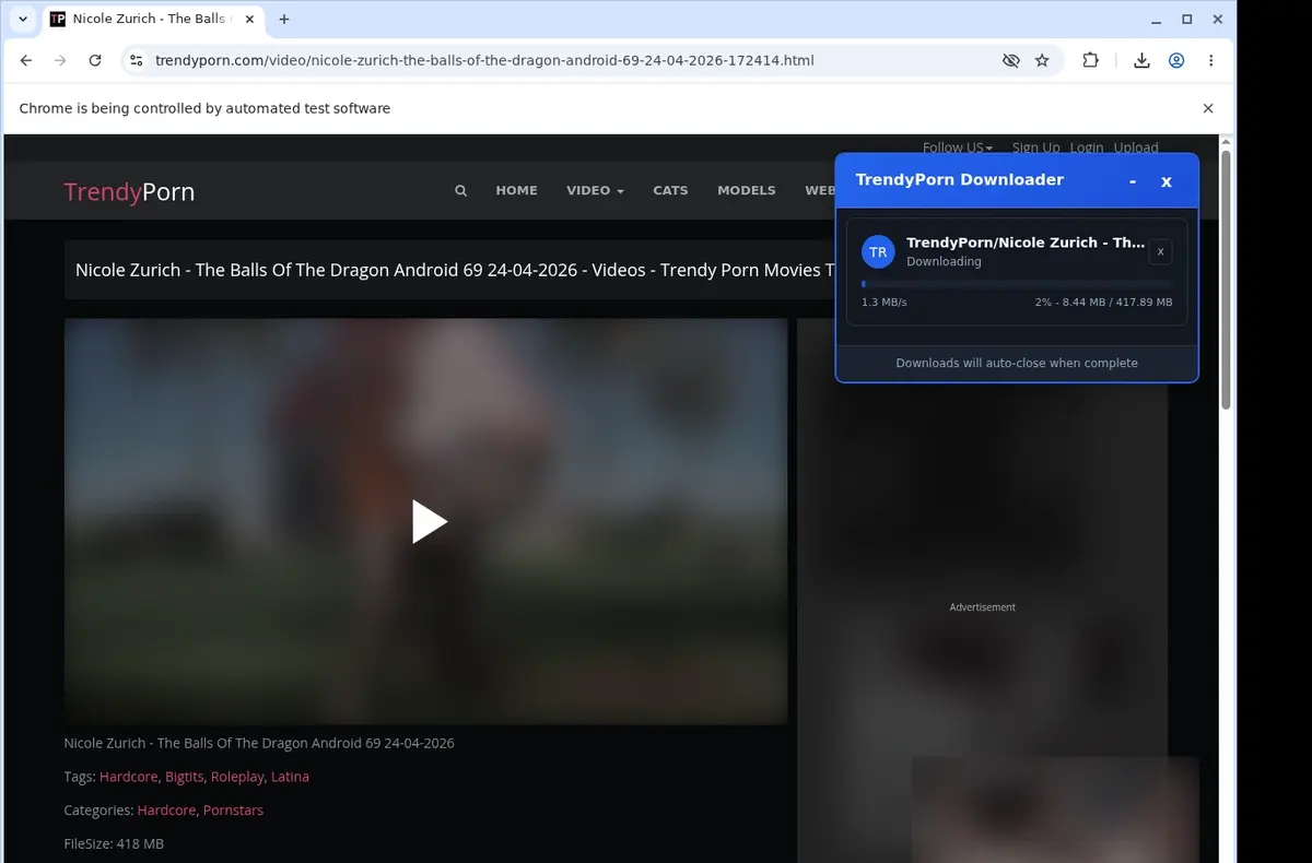 TrendyPorn Downloader download progress panel