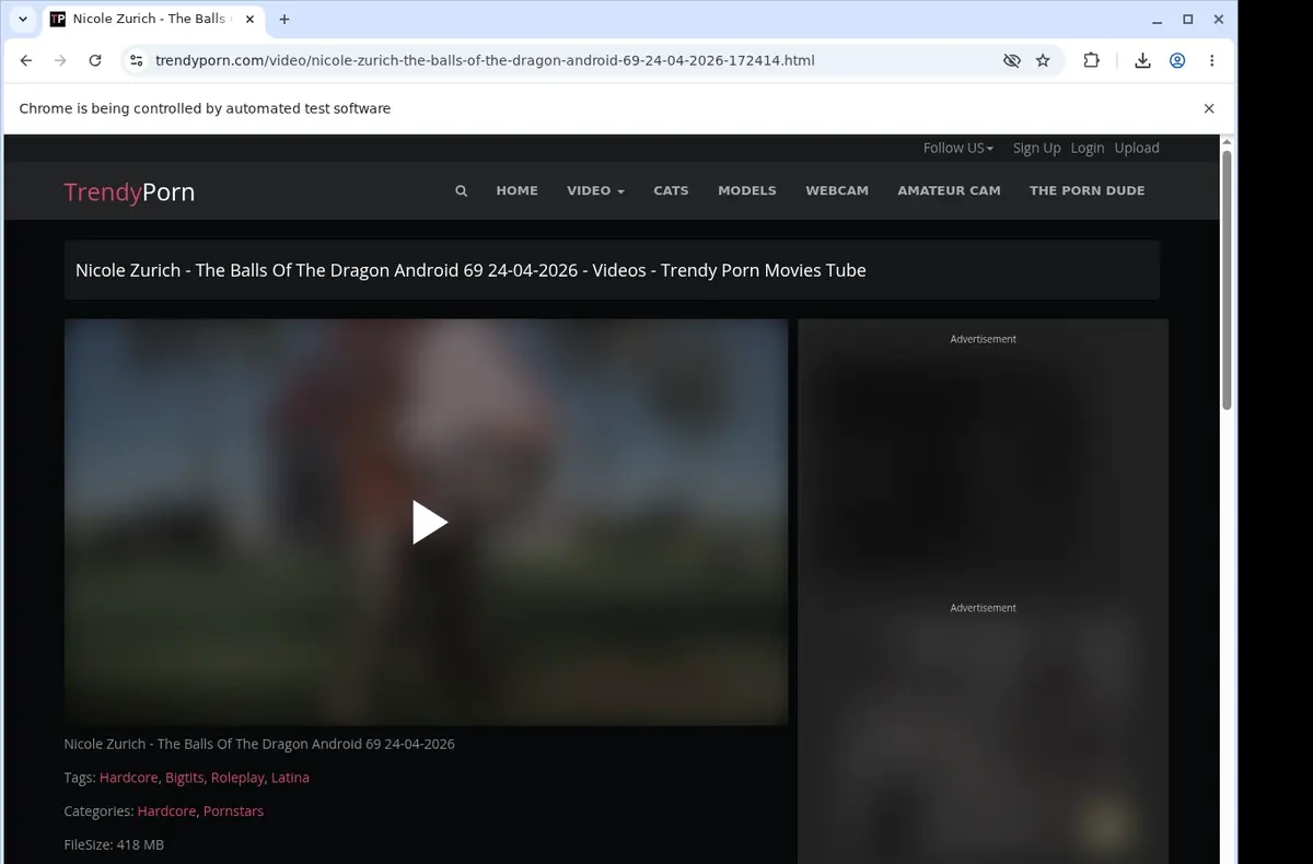 TrendyPorn Downloader showing detected media ready to download