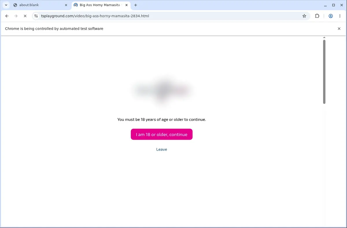 TSPlayground Video Downloader page open in the browser