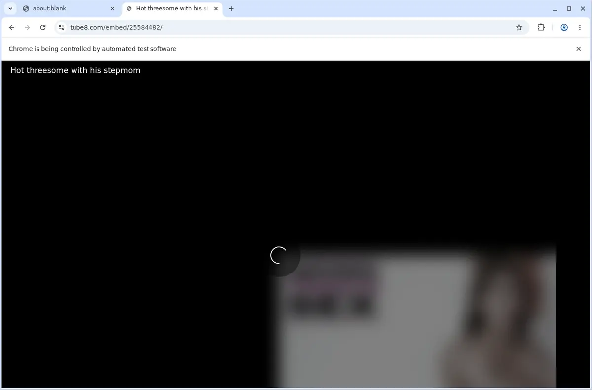 Tube8 Downloader page open in the browser