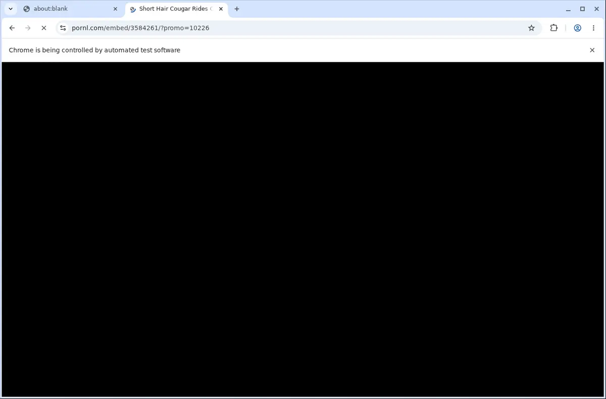 Tube 8 Porn Video Downloader page open in the browser