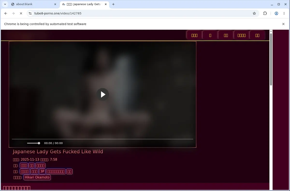 Tube 8 Porno Video Downloader page open in the browser