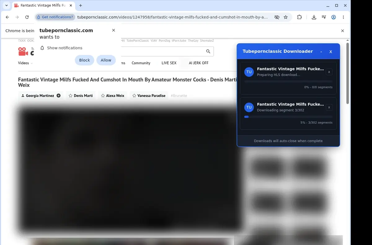 TubePornClassic Video Downloader download progress panel