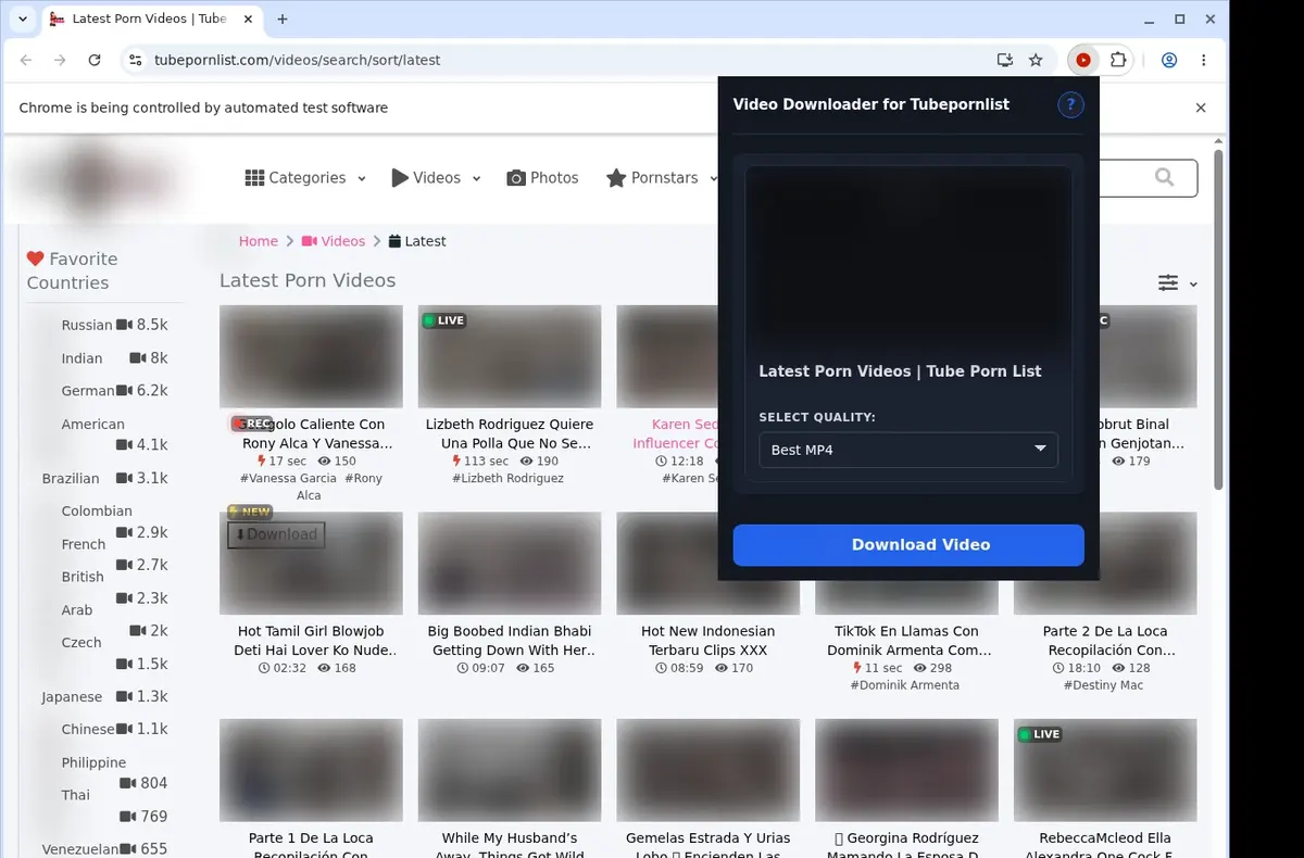 Tubepornlist Video Downloader showing detected media ready to download
